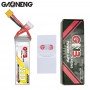 GAONENG 2200mAh 6S 100C - XT60