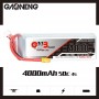 GAONENG 4000mAh 4S 50C - XT90