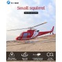 FLYWING SQUIRELL AS350 - RTF
