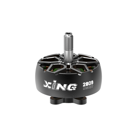XING2 2809 Cinelifter Motor (4X)