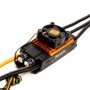 Avian 130 Amp Brushless Smart ESC, 3S - 6S