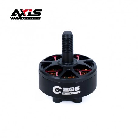 Axisflying C206 2006 Motor (4x)