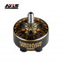 Axisflying co-brand with BlackBird v4 2307 Bundle Kit