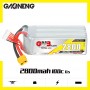 GAONENG GNB 6S 22.2V 2800mAh 100C XT60