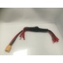 Câble d'alimentation pour racing 1 XT60 VERS JST