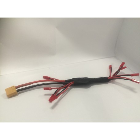 Câble d'alimentation pour racing 1 XT60 VERS JST
