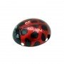 Carrosserie  pour ladybird Rouge/Noir