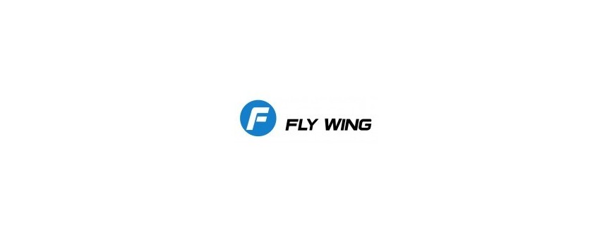 Spare parts for Flywing FW 450 V3