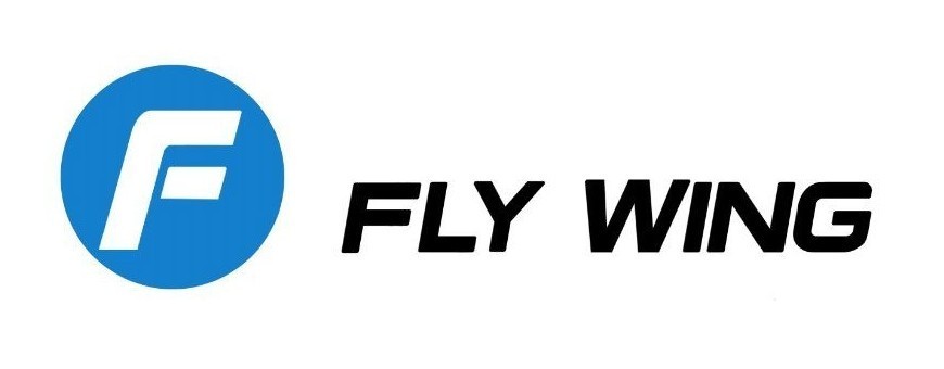 FLYWING RC